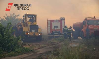 Основной версией лесного пожара в Тольятти назвали поджог