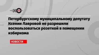 Петербургскому муниципальному депутату Ксении Лавровой не разрешили воспользоваться розеткой в помещении избиркома