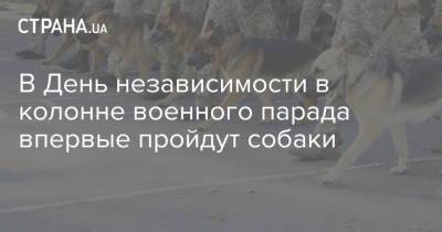 В День независимости в колонне военного парада впервые пройдут собаки