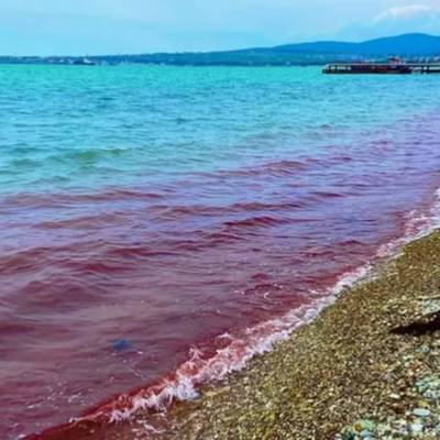 Вода в Черном море стала красной из-за особых водорослей