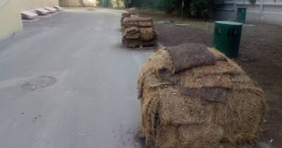 Московский район решили благоустроить с помощью «свежего рулонного сена»