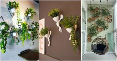 Красивые варианты вертикального озеленения для небольших комнат
