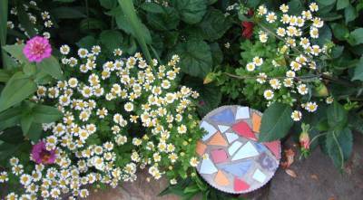 Шаговые плиты для цветника своими руками: лайфхаки от Ольги Вороновой