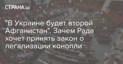 "В Украине будет второй Афганистан". Зачем Рада хочет принять закон о легализации конопли