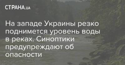 На западе Украины резко поднимется уровень воды в реках. Синоптики предупреждают об опасности