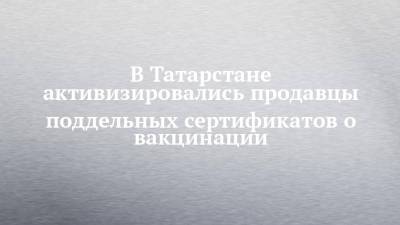 В Татарстане активизировались продавцы поддельных сертификатов о вакцинации
