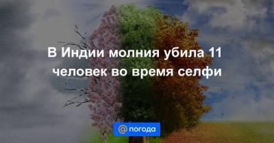 В Индии молния убила 11 человек во время селфи