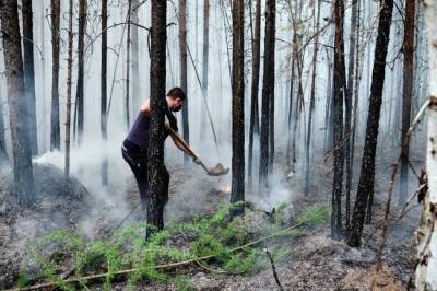 Лесным инспекторам могут разрешить штрафовать поджигателей травы