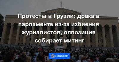 Протесты в Грузии: драка в парламенте из-за избиения журналистов, оппозиция собирает митинг