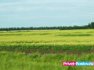Компания Ивана Саввиди купила крупное сельхозпредприятие в Ростовской области