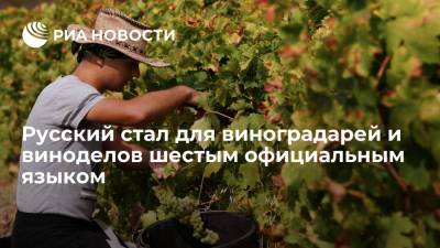 Леонид Попович - Русский стал для виноградарей и виноделов в мире шестым официальным языком - ria.ru - Москва - Россия