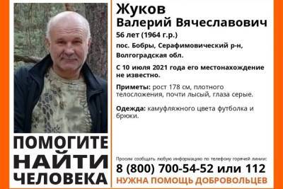 В Волгоградской области третий день разыскивают 56-летнего мужчину