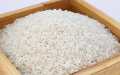 В Китае собрали первый урожай "космического риса"