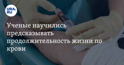 Ученые научились предсказывать продолжительность жизни по крови