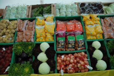 Экономисты предрекли падение цен на овощи