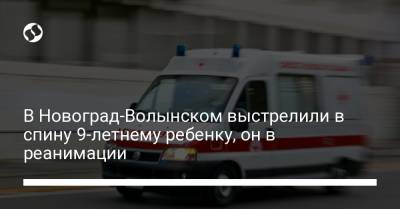 В Новоград-Волынском выстрелили в спину 9-летнему ребенку, он в реанимации