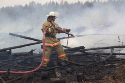 МЧС потушило все лесные пожары в Челябинской области