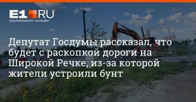 Андрей Альшевских - Депутат Госдумы рассказал, что будет с раскопкой дороги на Широкой Речке, из-за которой жители устроили бунт - e1.ru - Екатеринбург - Свердловская обл.