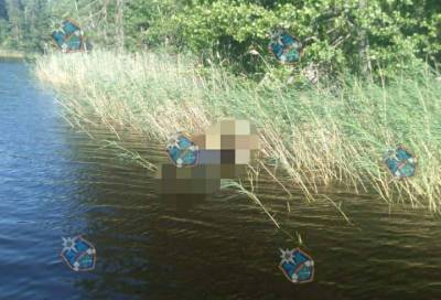 В озере Вуокса нашли неопознанный труп