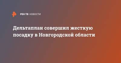 Дельтаплан совершил жесткую посадку в Новгородской области