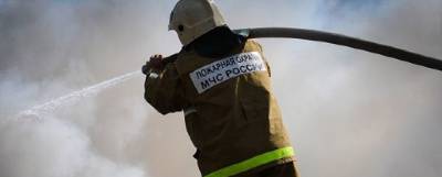 В Челябинской области объявили о ликвидации всех лесных пожаров