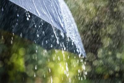 Местами дождь и гроза. Погода в Ульяновской области на 13 июля