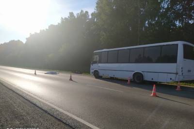 Водитель автобуса вышел заменить колесо и попал под машину на трассе в Новосибирской области