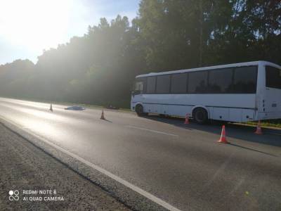 Автомобилист насмерть сбил водителя автобуса ПАЗ на дороге Новосибирск — Кемерово