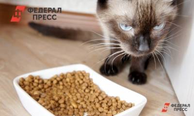 Возможен ли в России дефицит кормов для домашних животных