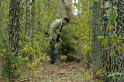 Поисковый отряд дал забайкальцам рекомендации по подготовке к выходу в лес
