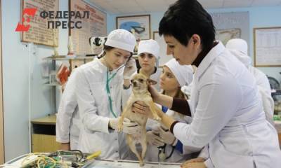 Ветеринары Красноярского края получили 14 млн на жилье