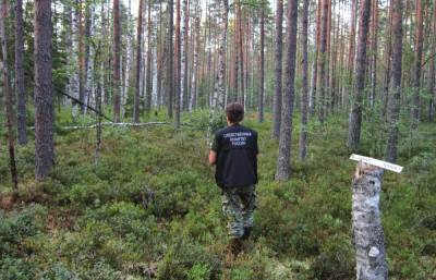 СК устанавливает, кому принадлежат обнаруженные в лесу под Весьегонском человеческие останки