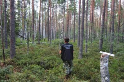 В лесу Тверской области нашли останки человека