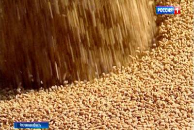 Первый миллион тонн зерна собрали с полей Ростовской области