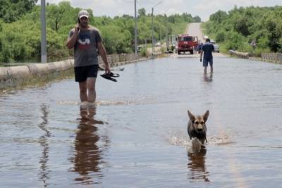 Правительство направит более 1 млрд руб. пострадавшим из-за паводков регионам ДФО