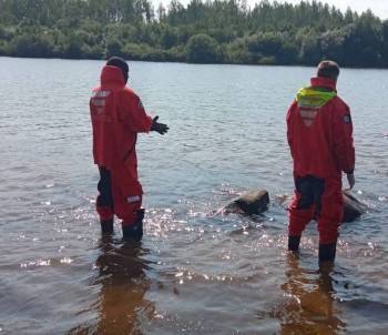 В Вытегре в воде найдено тело пожилого мужчины