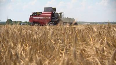 Массовая уборка зерновых набирает темпы в Брестской области