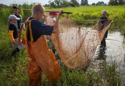Астраханские школьники спасли почти 40 миллионов мальков рыбы