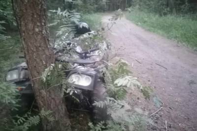 В Тверской области девушки на квадроцикле врезались в дерево на тупиковой дороге
