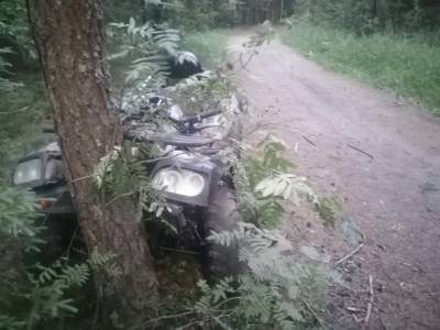 В Тверской области 16-летняя девушка врезалась на квадроцикле в дерево