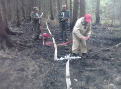В Смоленской области потушили лесной пожар