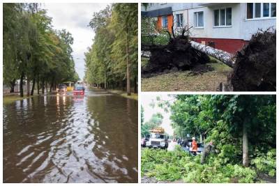 Ураган пронесся по украинскому городу, ветер снес крыши и деревья: кадры лютой стихии