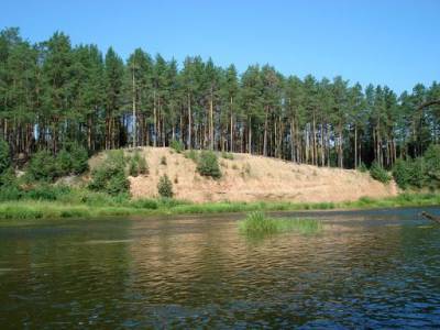 Штраф в 50 тыс. грн: в Ивано-Франковке запретили купание в реке Быстрица