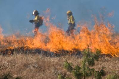 10 пожаров ликвидировали за сутки в Пензенской области