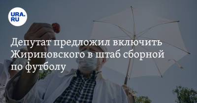 Депутат предложил включить Жириновского в штаб сборной по футболу