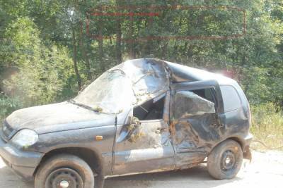 В Новоржевском районе водитель съехал в кювет и погиб на месте