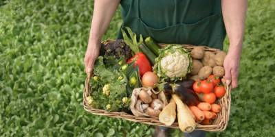 Фермерам разрешат продавать овощи и фрукты на своих участках