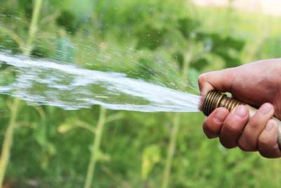 Можно ли поливать растения холодной водой? Ответ экспертов