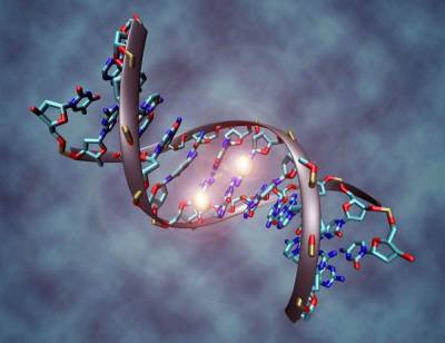 ВВС: ВОЗ разработала рекомендации по редактированию ДНК человека