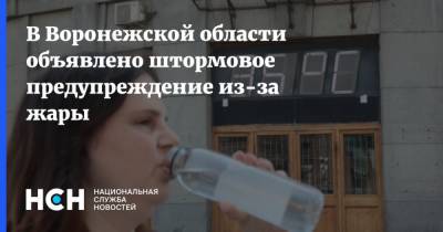 В Воронежской области объявлено штормовое предупреждение из-за жары